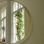 green plant on white window